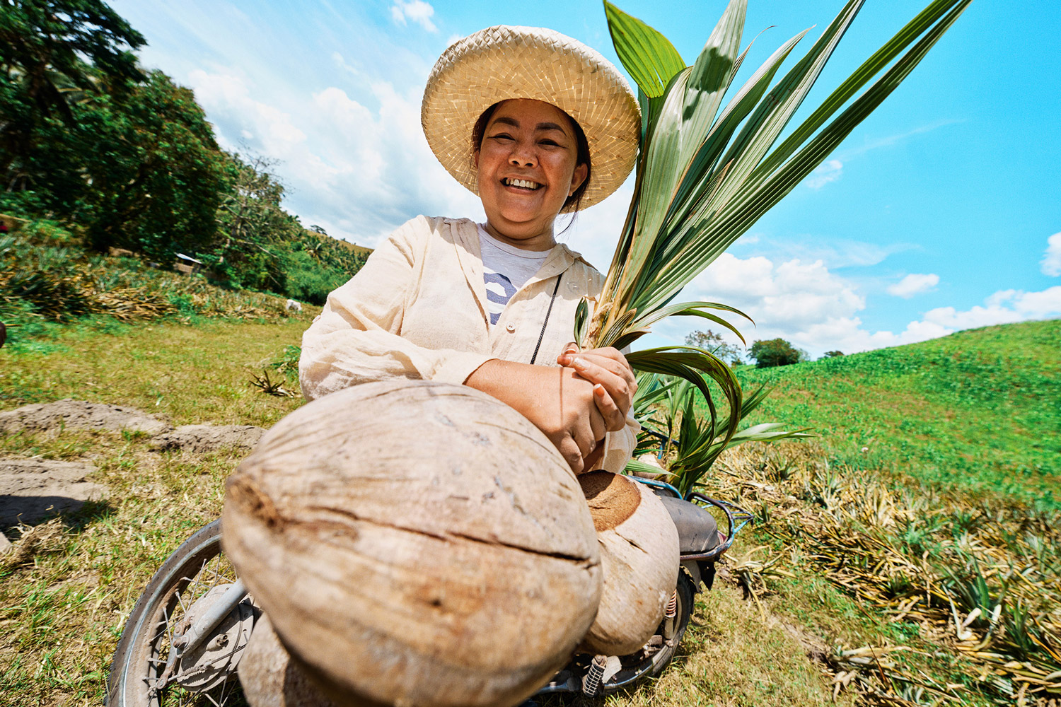 Distributing seedlings and training farmers in the Philippines